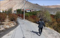 مهاجرت معکوس در گرو توانمند‌سازی روستا‌ها