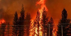آتش‌سوزی مهیب در شمال کالیفرنیا