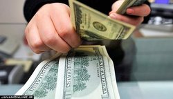 ۳۰ نفر از عوامل اصلی گرانی ارز دستگیر شدند