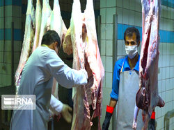 خیران آذربایجان شرقی یک‌هزار و ۶۵۰ راس گوسفند احسان کردند