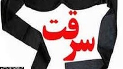 زمان مورد علاقه سارقان منازل چه ساعتی است؟
