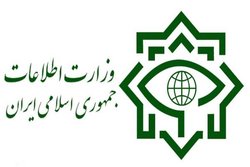 وزارت اطلاعات گمانه‌زنی درباره دستگیری «شارمهد» راتکذیب کرد