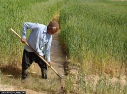 هشدار هواشناسی به کشاورزان