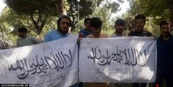 جزئیاتی تازه‌ از تجمع اتباع افغانی با پرچم طالبان