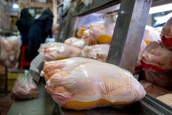 پنج هزار تن مرغ تنظیم بازاری ۱۳۵۰۰ تومانی توزیع می‌شود