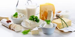 صادرات ۱۵۴ میلیون دلاری لبنیات ایران به ۳۰ کشور