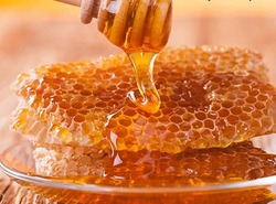 ۲۲۰ تن عسل تولیدی اردبیل صادر شد