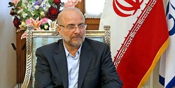 دیدار رئیس مجلس با خانواده شهید سلامت
