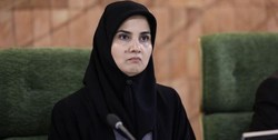 معاون حقوقی رییس‌جمهور: مزاحمت برای هواپیمای مسافربری زیر پا گذاشتن حقوق بین‌الملل است