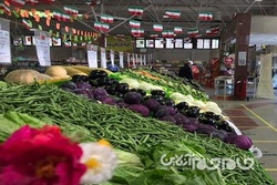 کاهش قیمت ۸ محصول پر مصرف در میادین میوه و تره بار