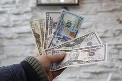 دستگیری ۱۱ دلال ارزی درکرج