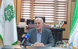 تبدیل سیستم سنتی مالیاتی به هوشمند، قطع وابستگی دولت به درآمدهای نفتی