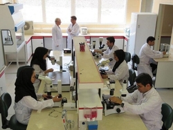 ایران در رشد علمی دوم جهان شد