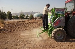 احداث مزرعه کاشت و تولید زعفران