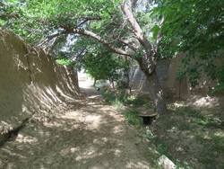 آغاز مرمت و جداره سازی کوچه باغ حیاطا