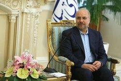 مسلمانان، گناه نابخشودنی اهانت به پیامبر (ص) را محکوم خواهند کرد