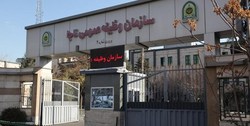 بازگشت به زندگی زنان معتاد متجاهر در پایتخت