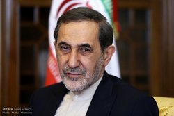 اقدام ننگین حاکمان بحرین و امارات بنا کردن خانه‌ای روی آب است
