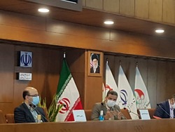 علیپور: بیشترین فعالیت را در ورزش کشور داشته ایم