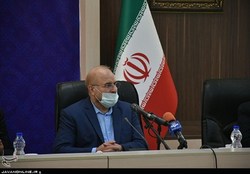 رئیس مجلس: دولت ارزش پول ملی و ثبات اقتصادی را رها کرده است