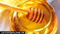 خواص شگفت‌انگیز عسل و احتمال درمان کرونا