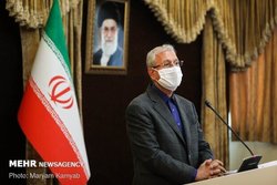 جریمه کرونایی برای حفظ جان مردم است/ سیاست‌های تنبیهی لازم بود