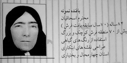 بافند ه وطراح فرش نقش چالشتری به افلاکیان پیوست