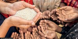 ضایعات غذایی جهان دو میلیارد گرسنه را سیر می‌کند