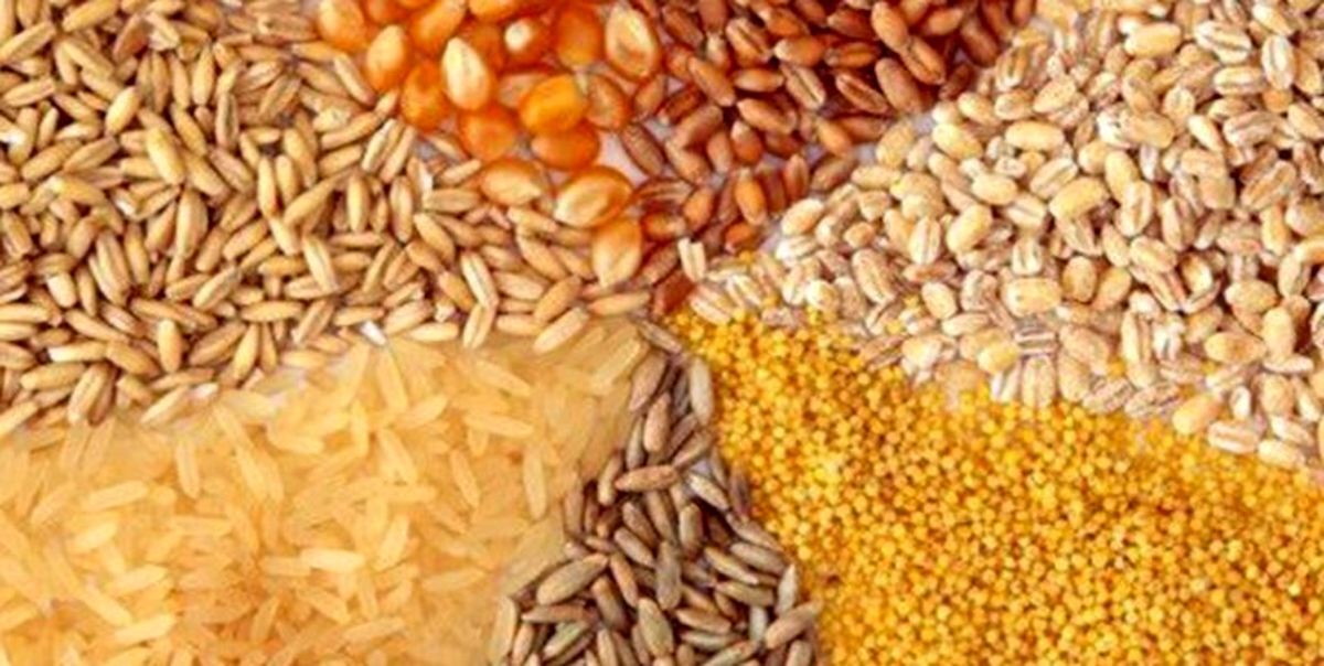 ۴۵ درصد از نهاده‌های دامی با ارز دولتی تامین می‌شود