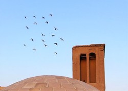 آزادی ۳۸۰۹ زندانی غیرعمد در نیمسال ۹۹