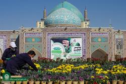 گل‌آرایی ویژه حرم رضوی به مناسبت میلاد حضرت رسول‌الله (ص)