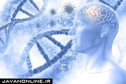 کار فیزیکی سخت، ریسک زوال عقل را افزایش می‌دهد