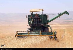 تحمیل گرانی به کشاورزان بدون کاهش هزینه تولید