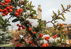 آغاز بارش برف و باران در ۱۰ استان