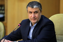 برخی جریانات برای کاهش قیمت مسکن سرسختی نشان می‌دهند