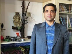 گاوداری ها و گوسفندداری ها صنعتی و روستایی شناسنامه دار می شوند
