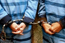 کشف ۱۷ فقره انواع سرقت خرد در گرمسار