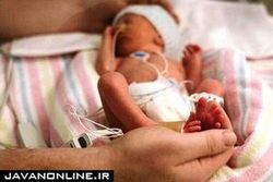 هجوم برای زایمان لاکچری سلاح کشتارجمعی است