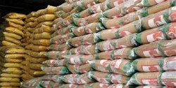 ۲۰۰ هزار تن برنج وارداتی در گمرک فاسد می‌شود