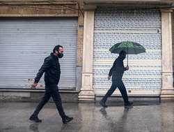 توطئه گله‌ای در شب بارانی عملیات