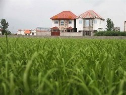 تغییر کاربری اراضی مازندران متخلفان می‌تازند، مسئولان آمار می‌دهند