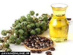 از فواید شگفت انگیز روغن کرچک چه می‌دانید؟
