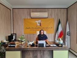 تهاجم فرهنگی در عرصه پوشاک از کم‌کاری خودمان بود