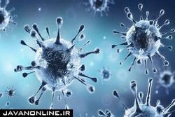 افزایش مرگ کرونایی در افراد مبتلا به نوعی روماتیسم