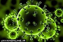 آخرین یافته‌ها از جهش کرونا در ایران
