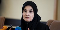 معاون حقوقی رئیس جمهوری خبر داد: تمدید مهلت بررسی «اف‌ای‌تی‌اف» در مجمع