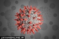 تاثیر داروی هپاتیت C برای درمان کرونا