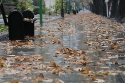 هوای مشهد پاک است