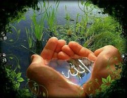 خدا که بد نمی‌دهد