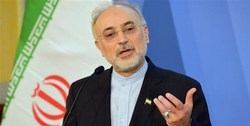 صالحی: شهید فخری‌زاده زیرساخت‌های پدافند هسته‌ای را به نحو احسن ایجاد کرد
